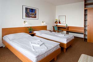 Standard double with city view, private facilities (shower), and breakfast